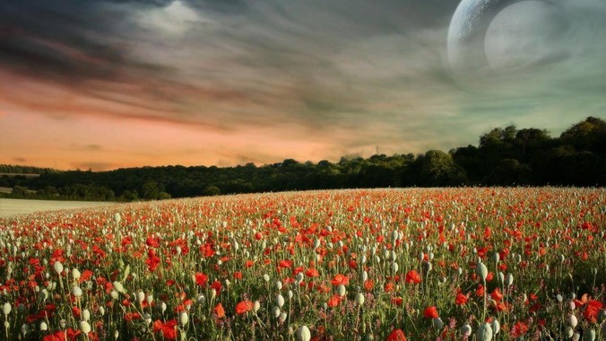 如何评价国民党反动派把蹂躏妇女等下作手段写入军事教材?